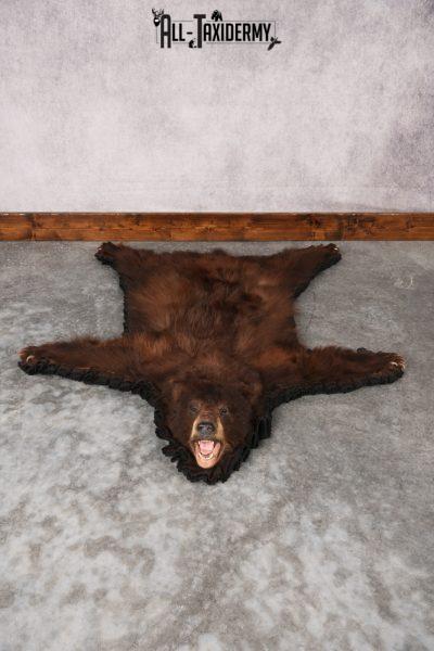 Chocolate Black Bear Rug SKU 2820