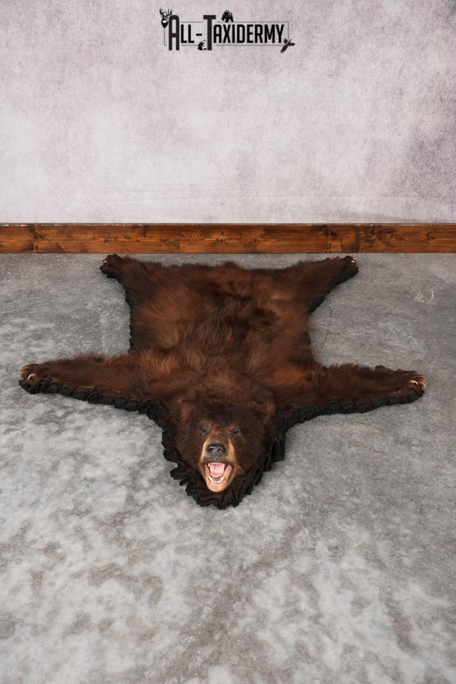 Chocolate Black Bear Rug SKU 2820