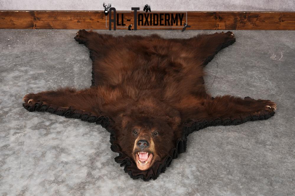 Chocolate Black Bear Rug SKU 2820 - Image 8