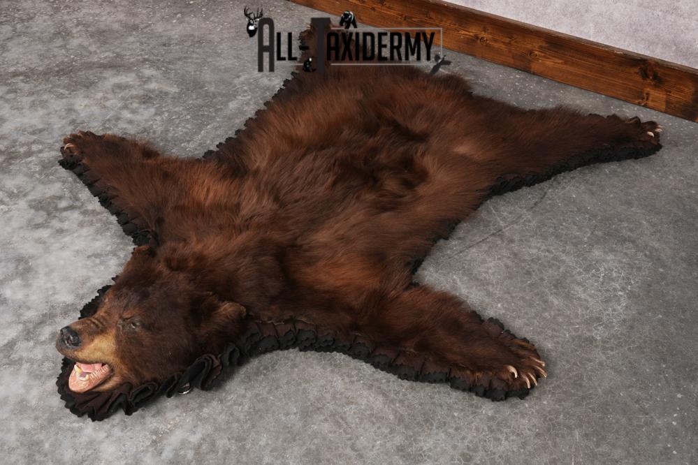 Chocolate Black Bear Rug SKU 2820 - Image 7