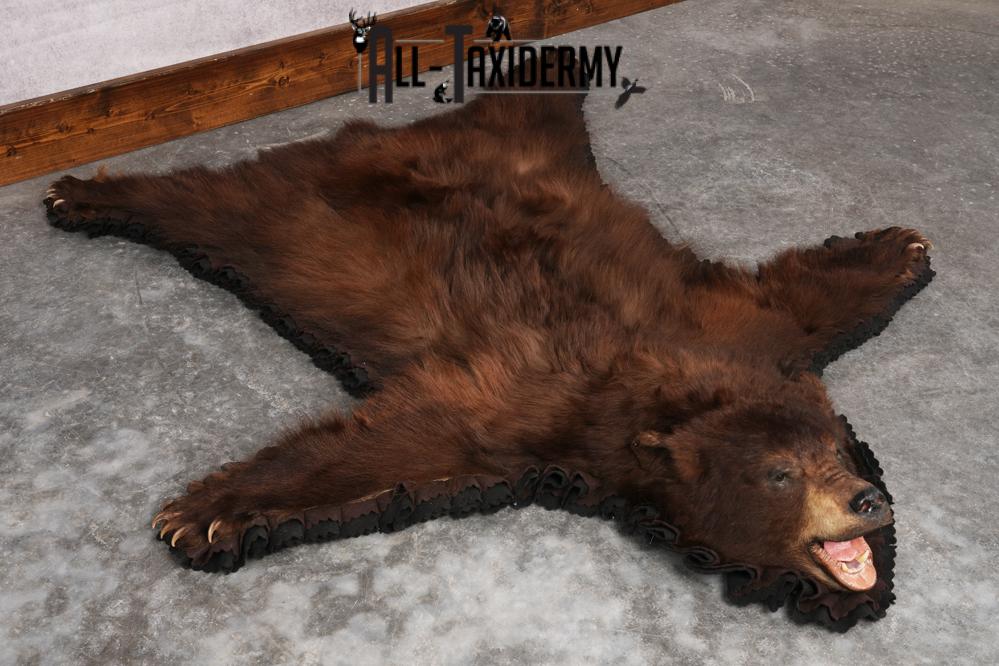 Chocolate Black Bear Rug SKU 2820 - Image 6