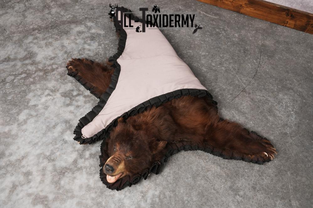 Chocolate Black Bear Rug SKU 2820 - Image 2