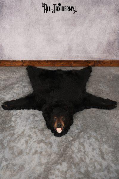 Black Bear Rug SKU 2824