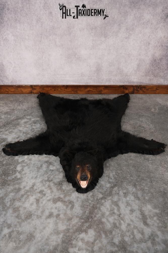 Black Bear Rug SKU 2824