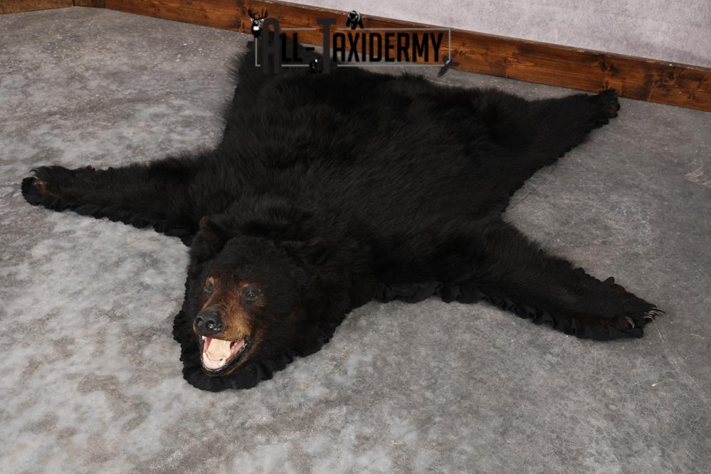 Black Bear Rug SKU 2824 - Image 8