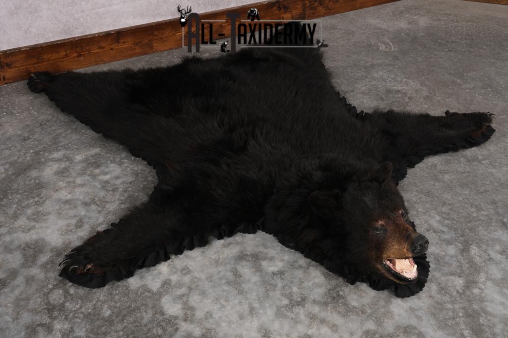 Black Bear Rug SKU 2824 - Image 7