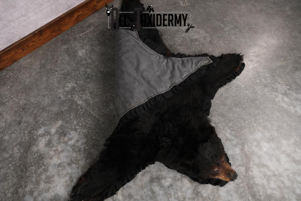 Black Bear Rug SKU 2824 - Image 3