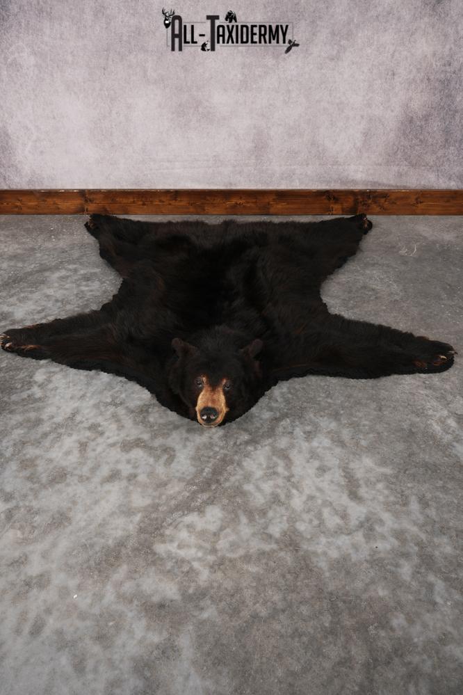 Black Bear Rug SKU 2815