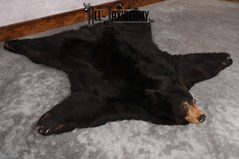 Black Bear Rug SKU 2815 - Image 8
