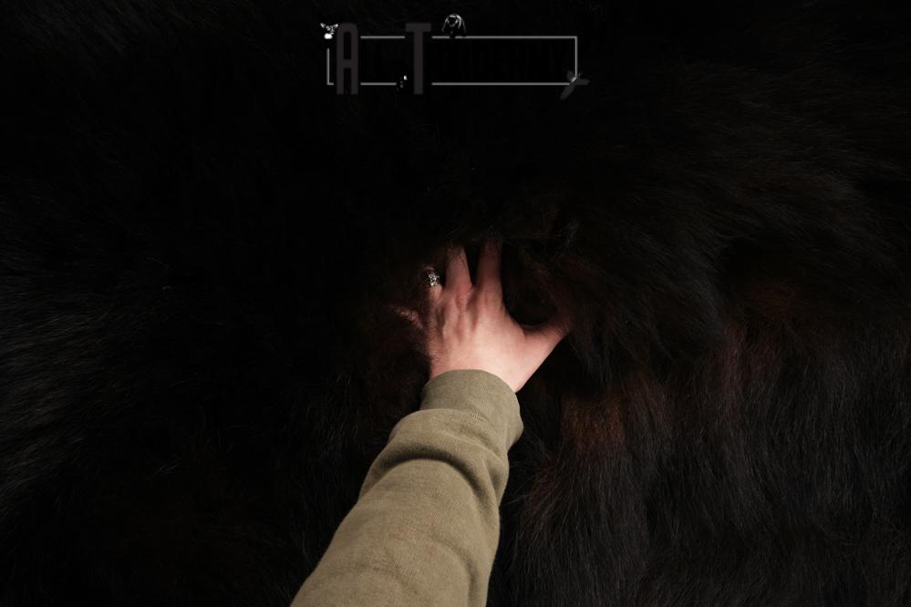 Black Bear Rug SKU 2815 - Image 4