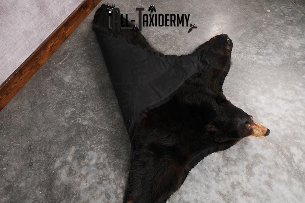 Black Bear Rug SKU 2815 - Image 3