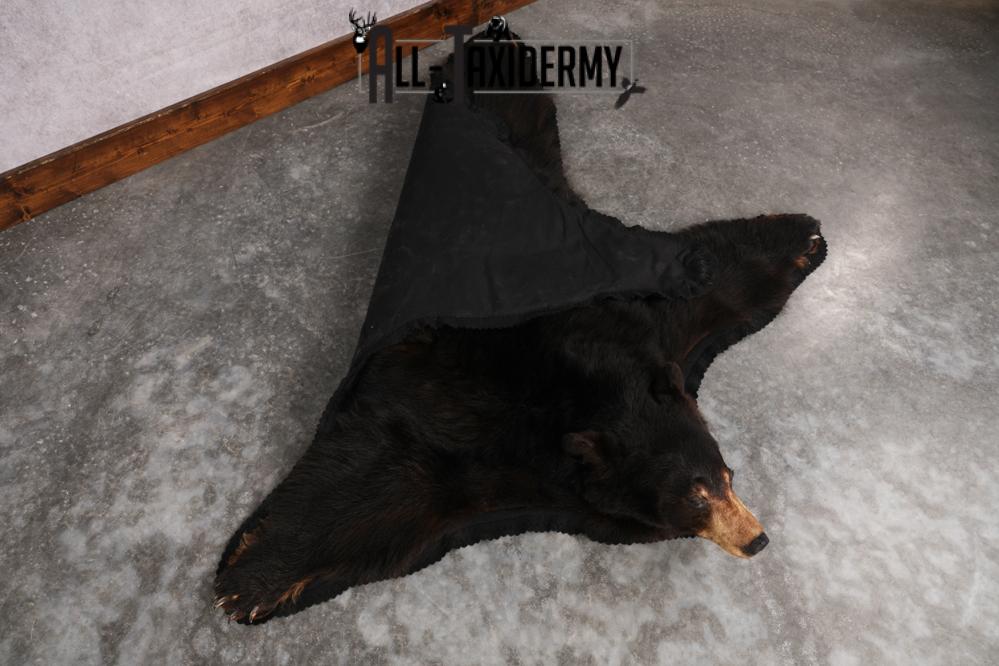 Black Bear Rug SKU 2815 - Image 2