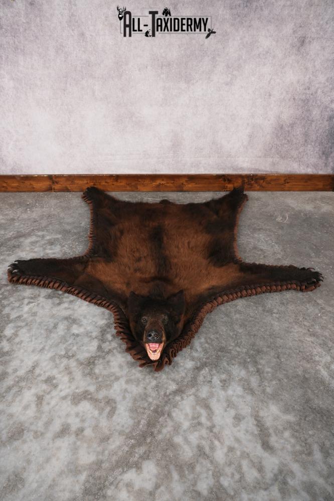 Tri Color Black Bear Rug SKU 2817