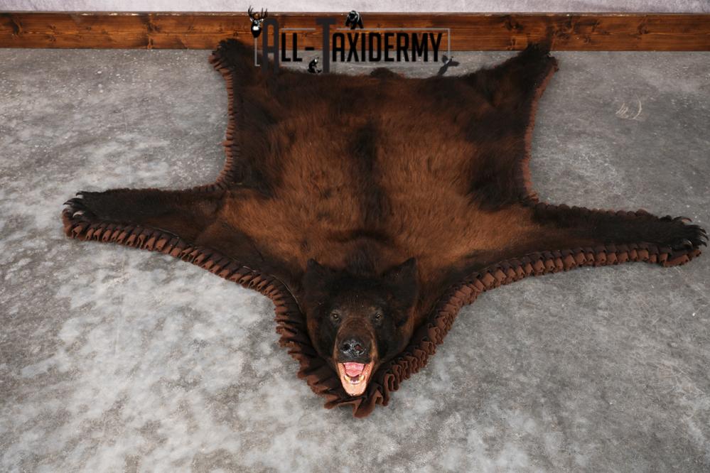 Tri Color Black Bear Rug SKU 2817 - Image 8