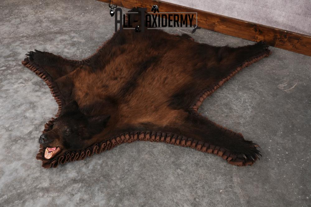 Tri Color Black Bear Rug SKU 2817 - Image 7