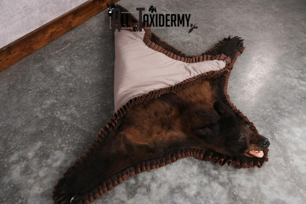 Tri Color Black Bear Rug SKU 2817 - Image 2