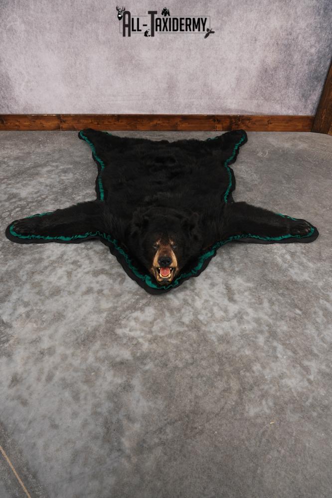 Black Bear Rug SKU 2819