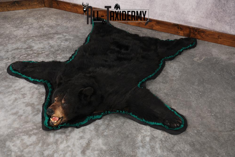 Black Bear Rug SKU 2819 - Image 7