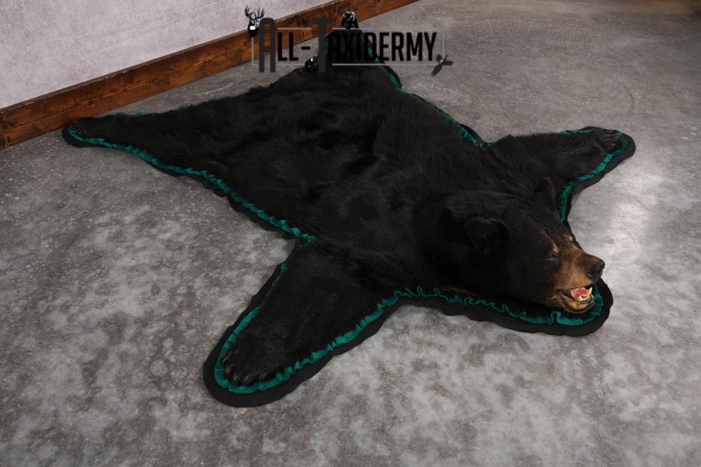Black Bear Rug SKU 2819 - Image 6