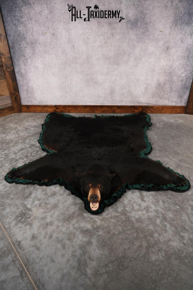 Black Bear Rug