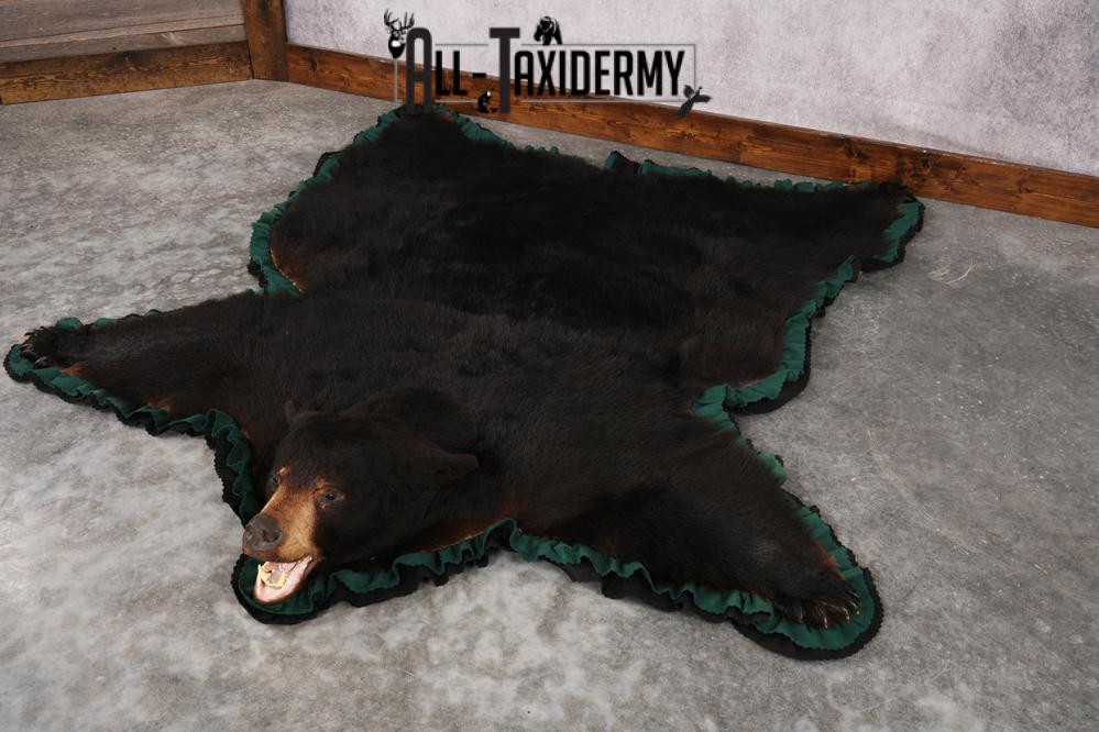 Black Bear Rug SKU 2818 - Image 7