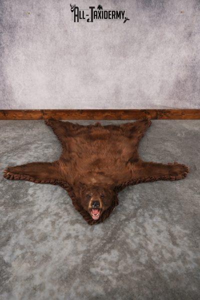 Cinnamon Black Bear Rug SKU 2816