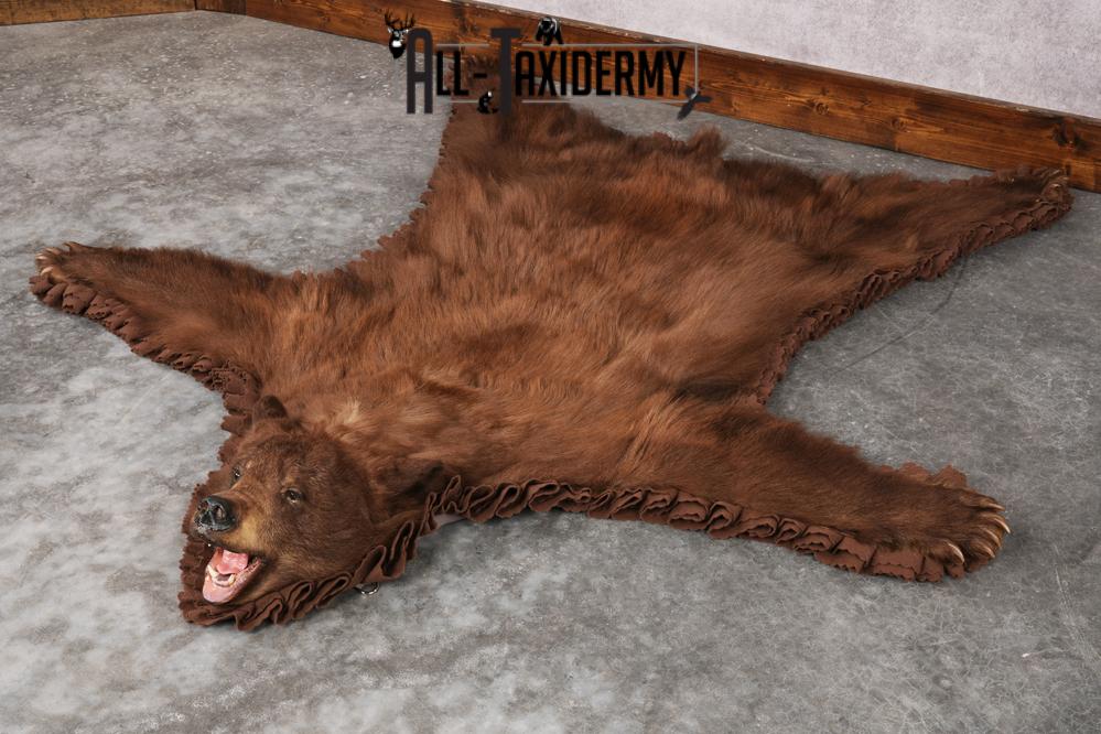 Cinnamon Black Bear Rug SKU 2816 - Image 7