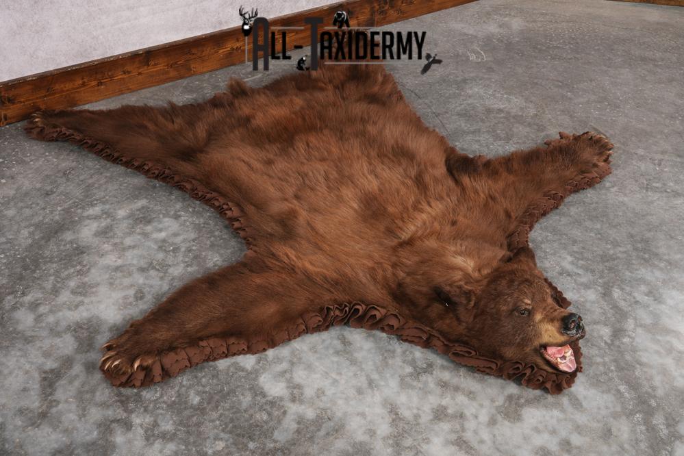 Cinnamon Black Bear Rug SKU 2816 - Image 6