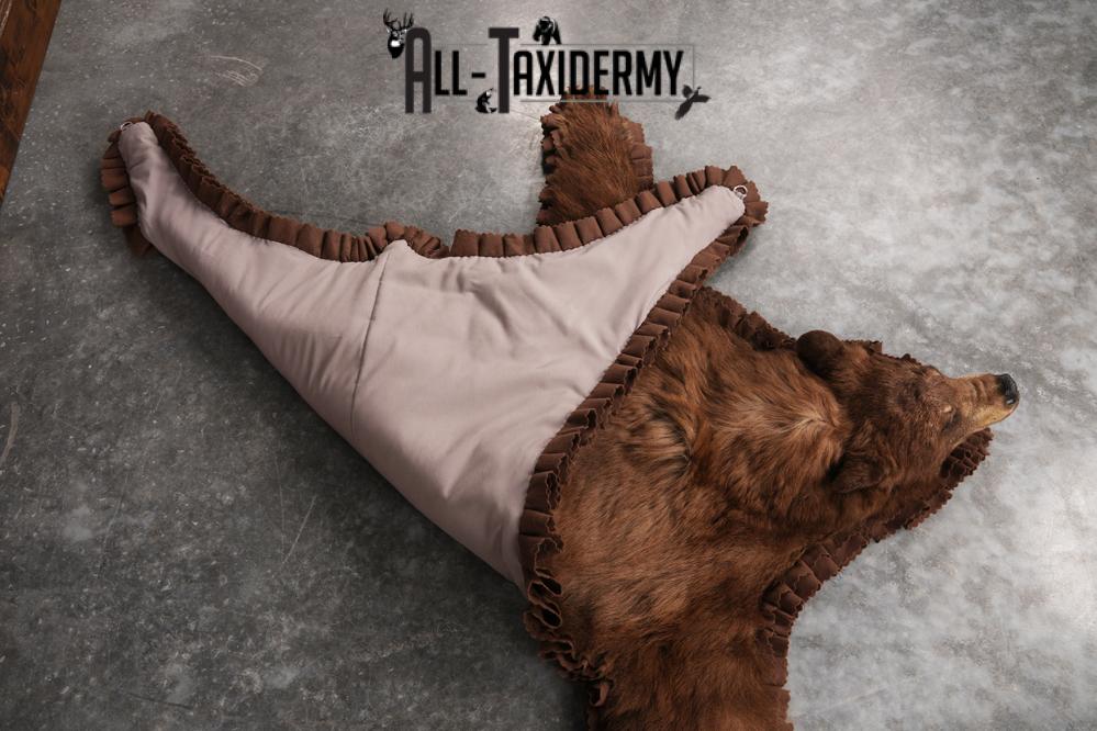 Cinnamon Black Bear Rug SKU 2816 - Image 2