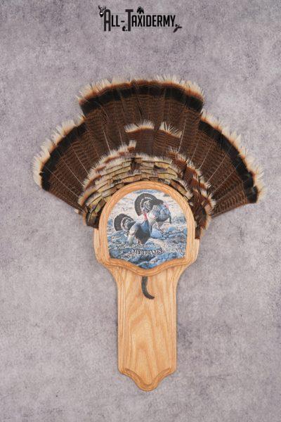 Merriam Jake Turkey Fan SKU 2995