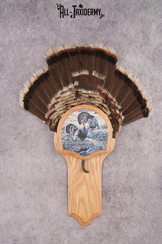 Merriam Jake Turkey Fan SKU 2995