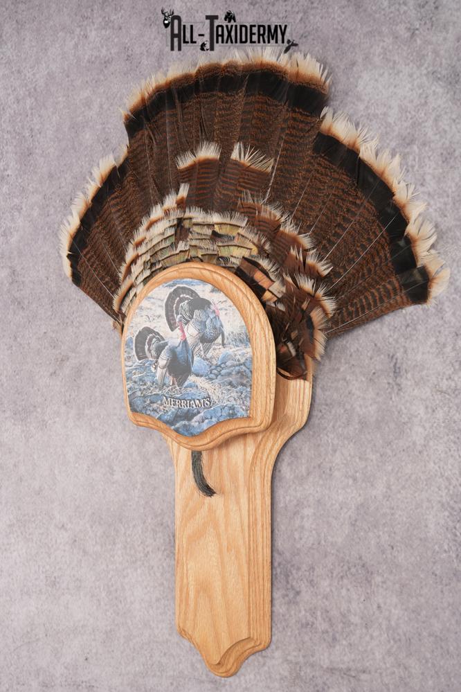 Merriam Jake Turkey Fan SKU 2995 - Image 6