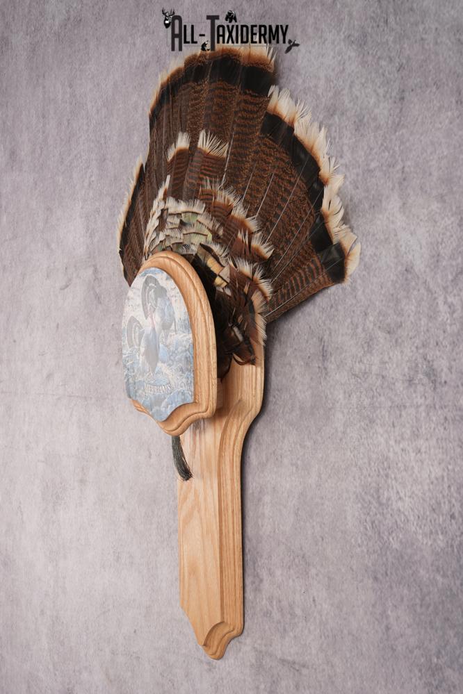 Merriam Jake Turkey Fan SKU 2995 - Image 5