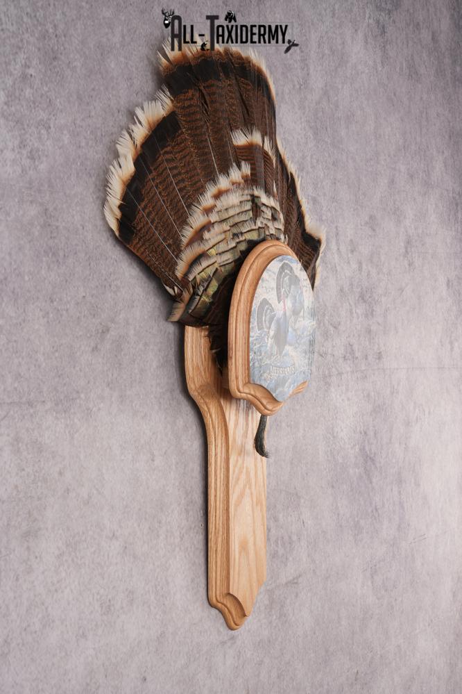 Merriam Jake Turkey Fan SKU 2995 - Image 3