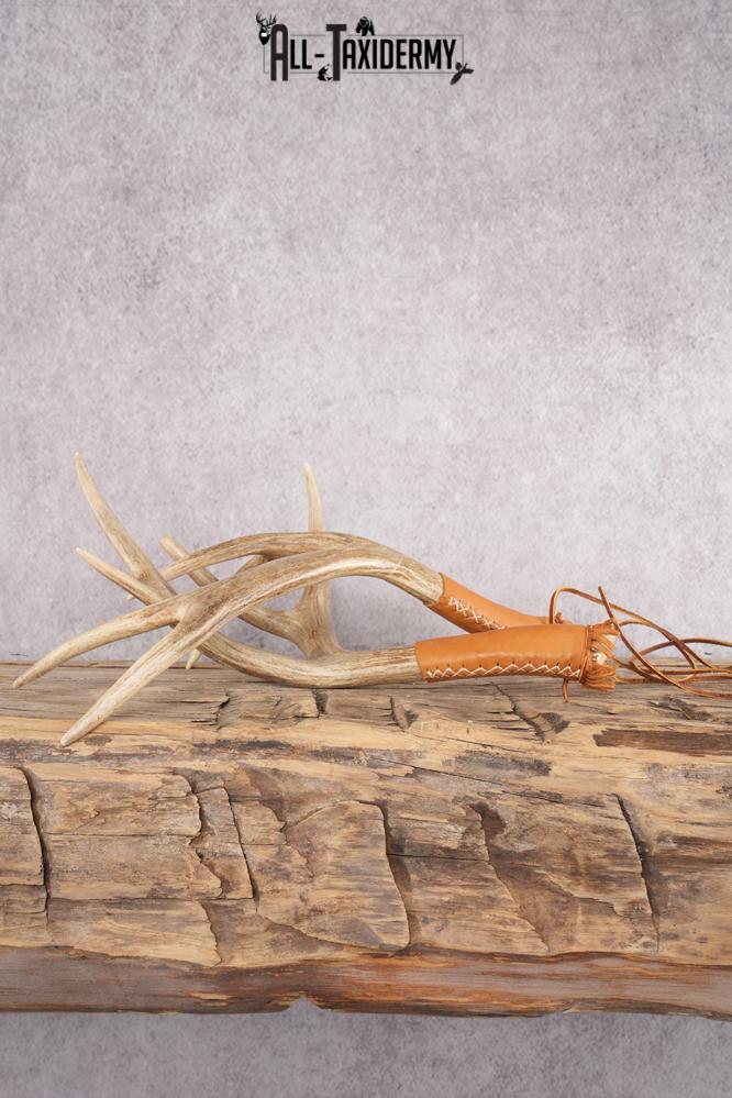 Mule Deer Antler Rattlers SKU 2868