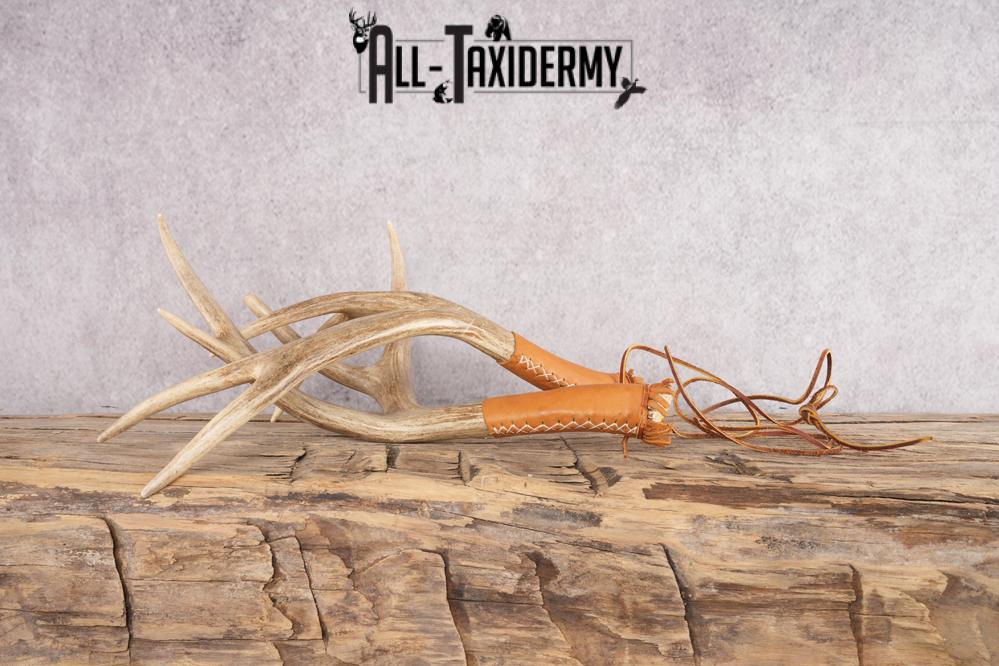 Mule Deer Antler Rattlers SKU 2868 - Image 4