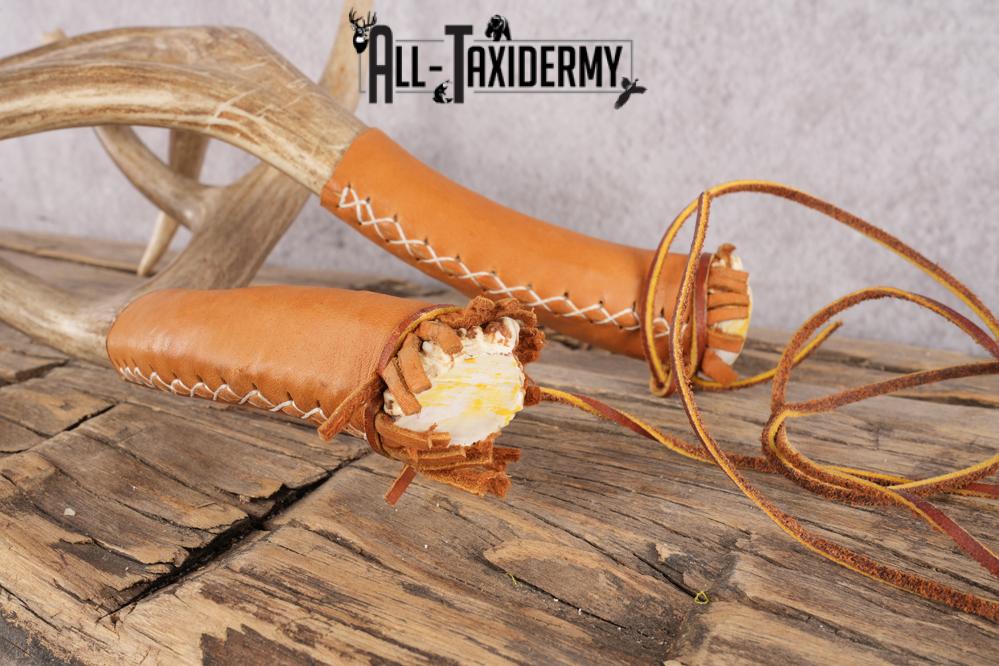 Mule Deer Antler Rattlers SKU 2868 - Image 3