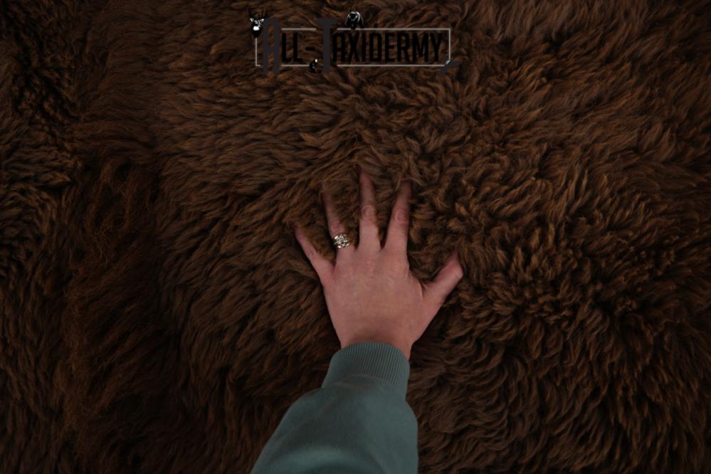 Bison Hide SKU 2873 - Image 3