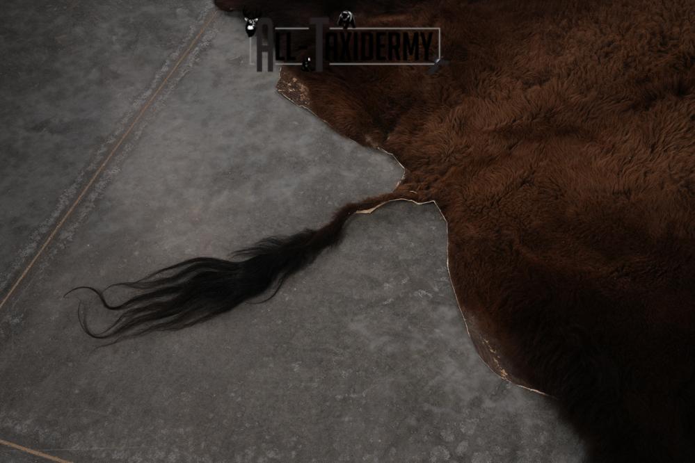 Bison Robe SKU 2821 - Image 5