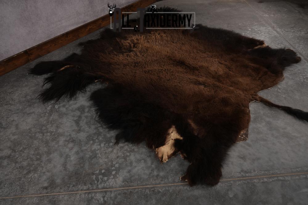 Bison Robe SKU 2821 - Image 4