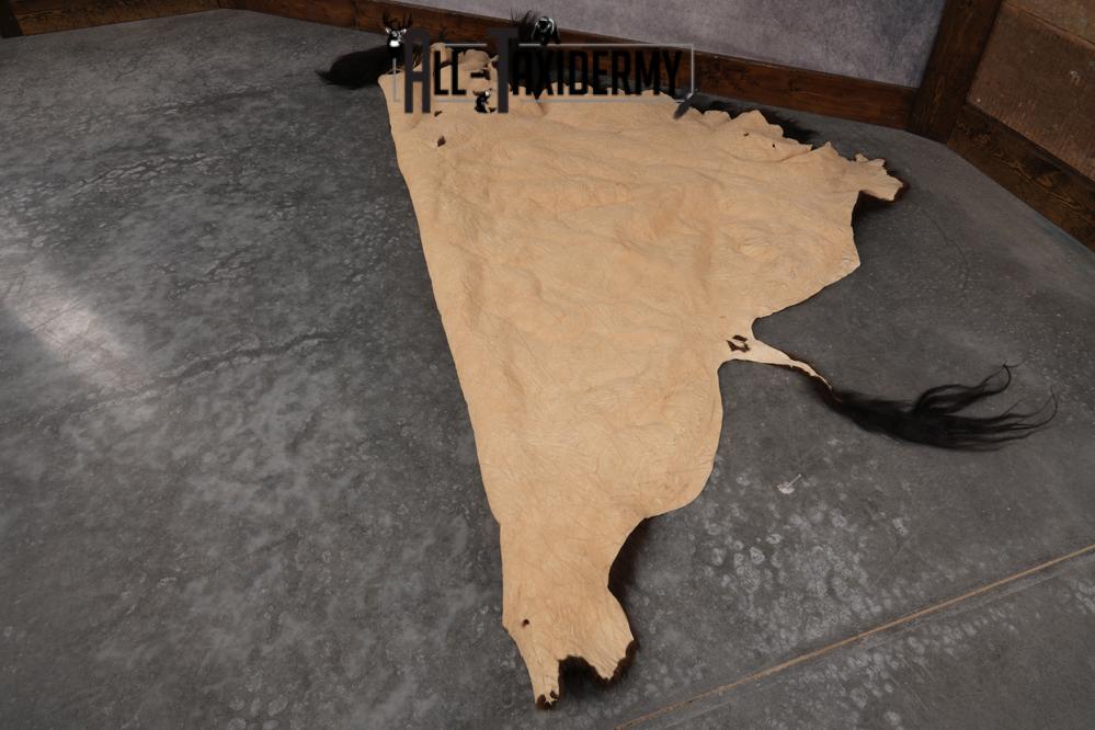 Bison Robe SKU 2821 - Image 2