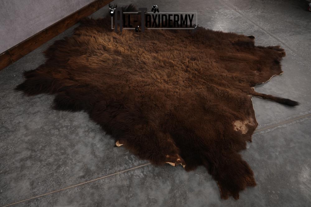 Bison Robe SKU 2825 - Image 4