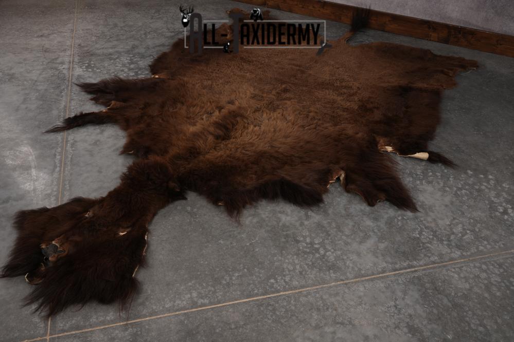 Bison Robe SKU 2826 - Image 6