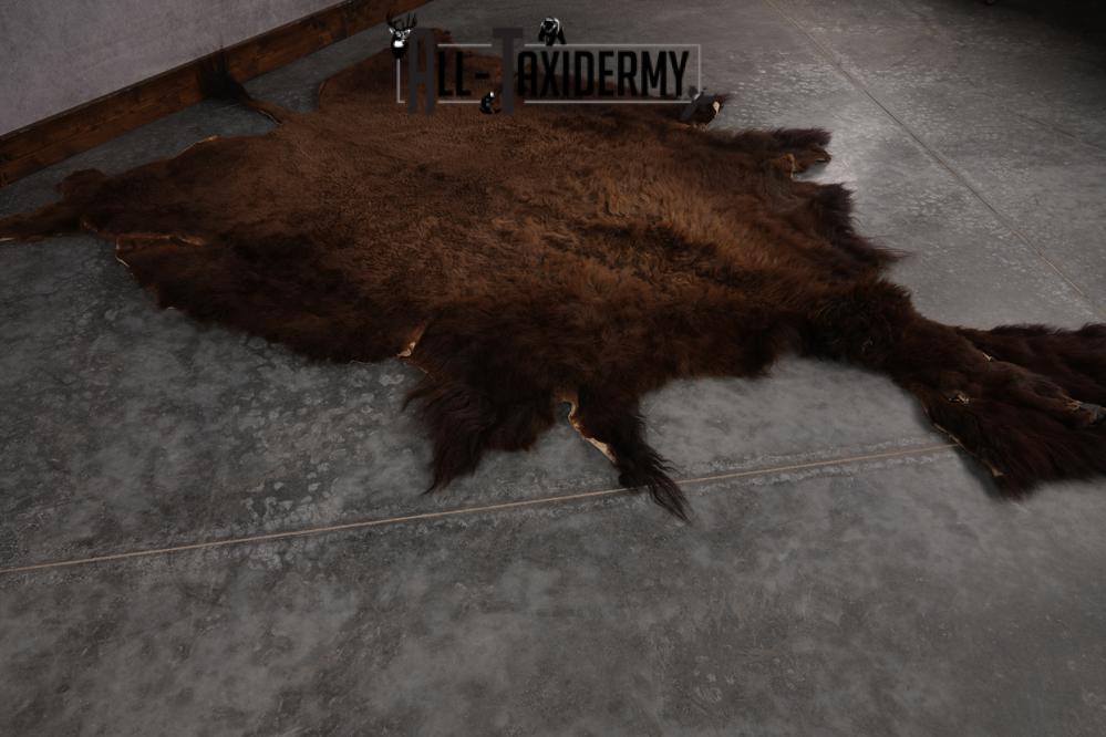 Bison Robe SKU 2826 - Image 5