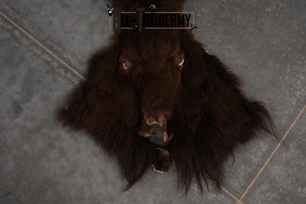 Bison Robe SKU 2826 - Image 4