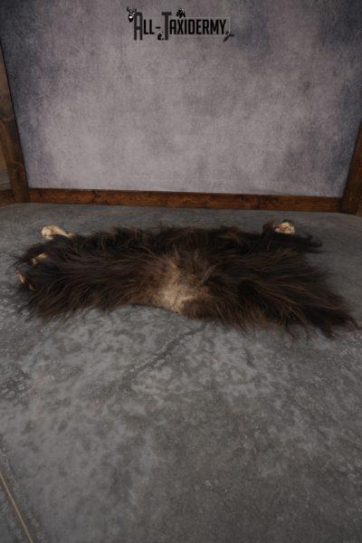 Musk Ox Back Half Hide SKU 2856