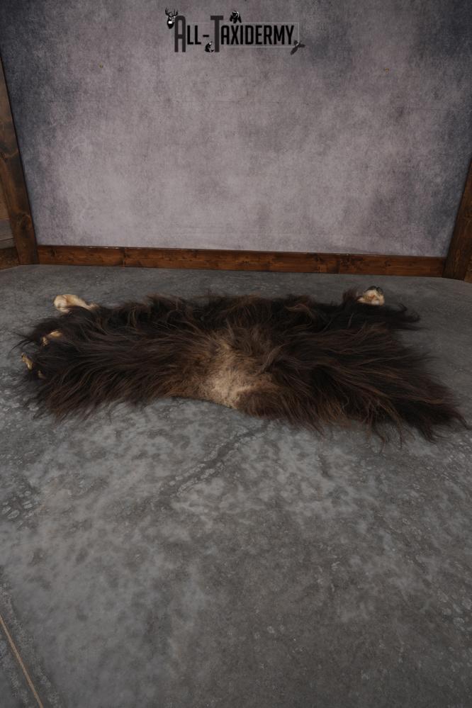 Musk Ox Back Half Hide SKU 2856