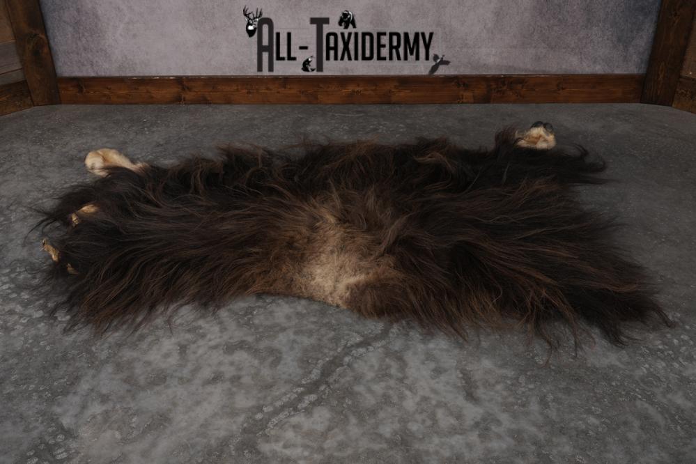 Musk Ox Back Half Hide SKU 2856 - Image 8