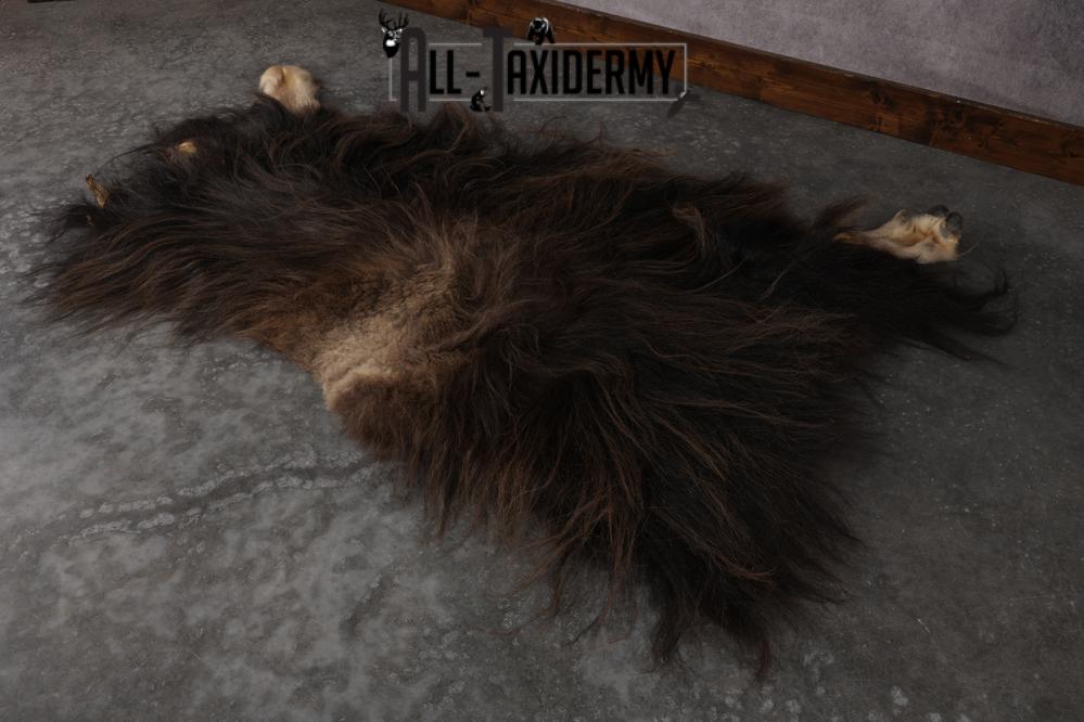 Musk Ox Back Half Hide SKU 2856 - Image 7