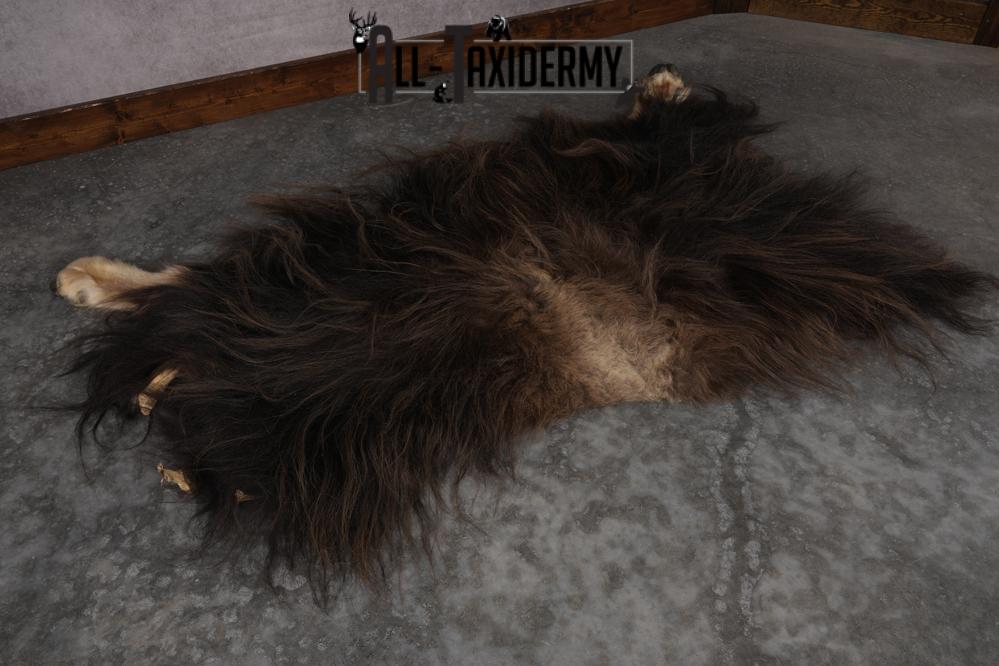 Musk Ox Back Half Hide SKU 2856 - Image 6
